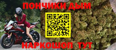 молекула духа Будённовск