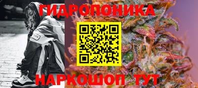 молекула духа Будённовск