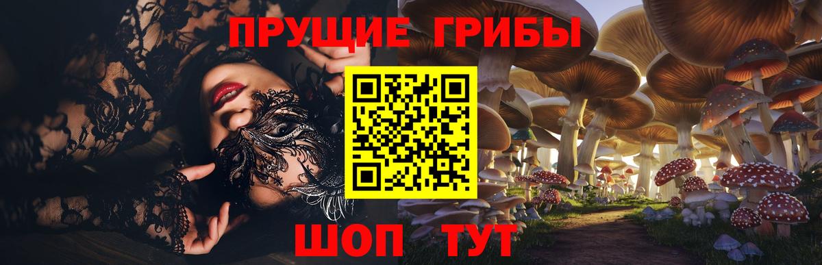 Галлюциногенные грибы прущие грибы Салават